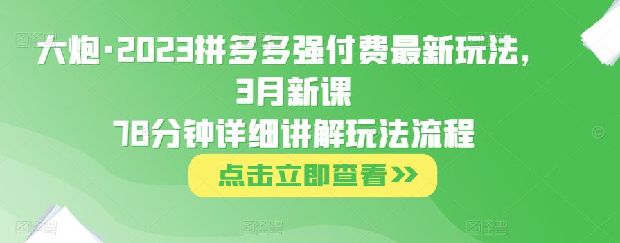 大炮·2023拼多多强付费最新玩法，3月新课​78分钟详细讲解玩法流程-文强博客