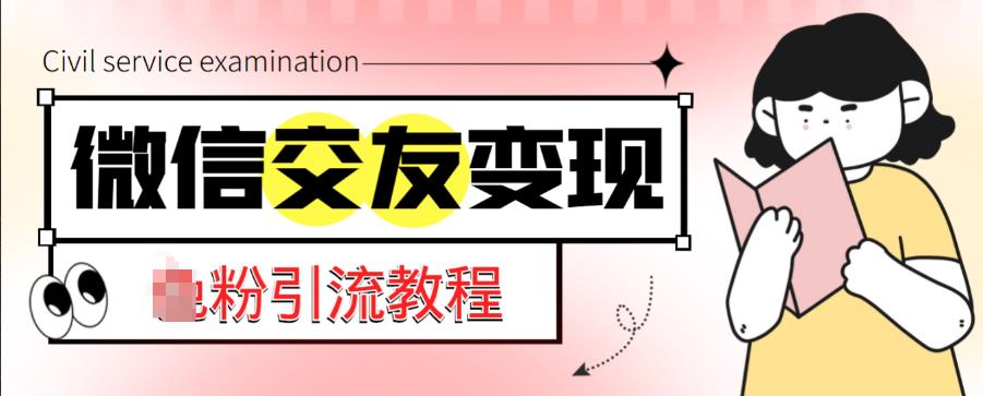 微信交友变现项目，吸引全网LSP男粉精准变现，小白也能轻松上手，日入500+-文强博客