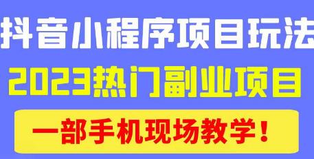 抖音小程序9.0新技巧，2023热门副业项目，动动手指轻松变现-文强博客