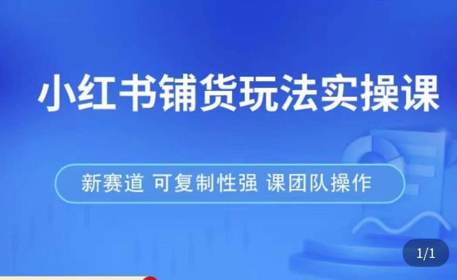 小红书铺货玩法实操课，流量大，竞争小，非常好做，新赛道，可复制性强，可团队操作-文强博客