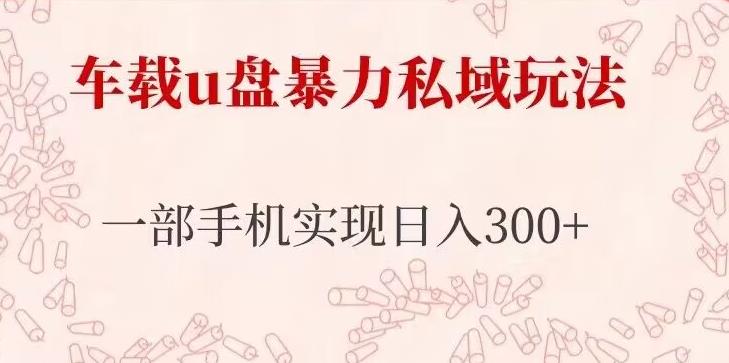 车载u盘暴力私域玩法，长期项目，仅需一部手机实现日入300+-文强博客