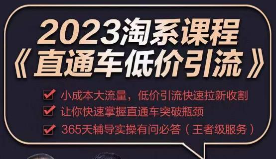 2023直通车低价引流玩法课程，小成本大流量，低价引流快速拉新收割，让你快速掌握直通车突破瓶颈-文强博客