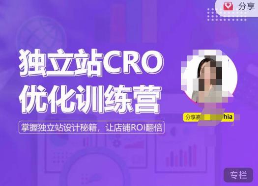 独立站CRO优化训练营，掌握独立站设计秘籍，打造高转化的独立站，让店铺ROI翻倍-文强博客