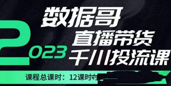 数据哥2023直播电商巨量千川付费投流实操课，快速掌握直播带货运营投放策略-文强博客