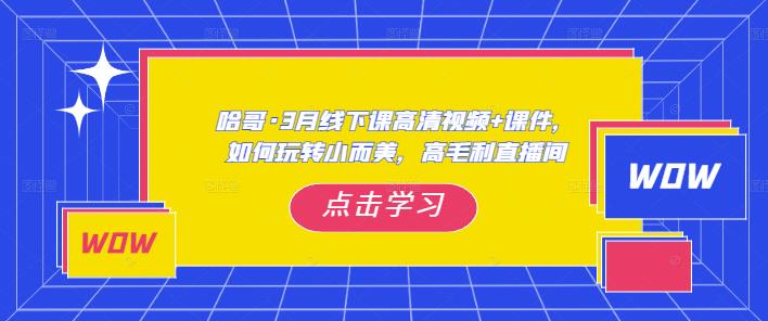 哈哥·3月线下实操课高清视频+课件，如何玩转小而美，高毛利直播间-文强博客