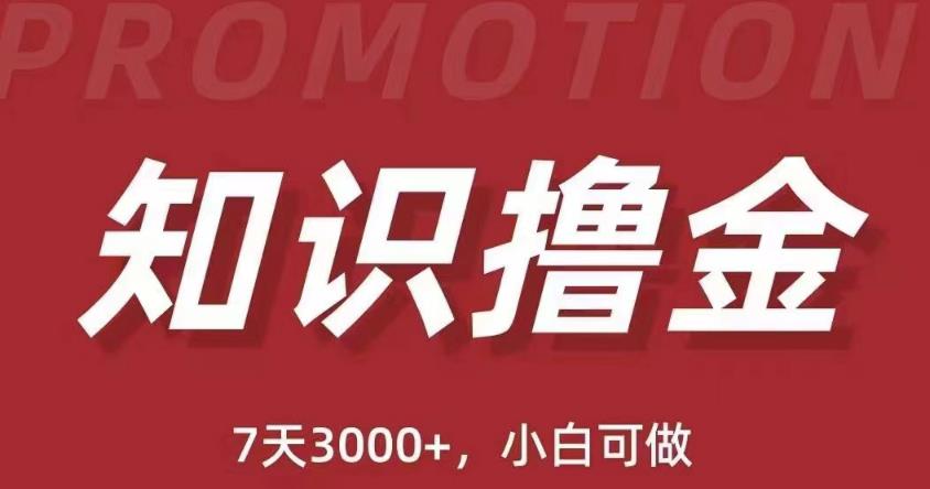 抖音知识撸金项目：简单粗暴日入1000+执行力强当天见收益(教程+资料)-文强博客