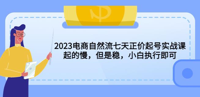 2023电商自然流七天正价起号实战课：起的慢，但是稳，小白执行即可！-文强博客