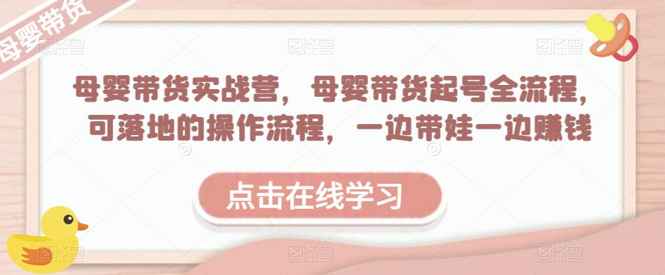 母婴带货实战营，母婴带货起号全流程，可落地的操作流程，一边带娃一边赚钱（附素材）-文强博客