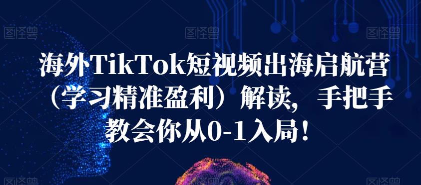 海外TikTok短视频出海启航营（学习精准盈利）解读，手把手教会你从0-1入局！-文强博客