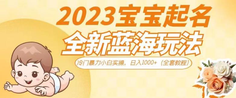 2023宝宝起名全新蓝海玩法，冷门暴力小白实操，日入1000+（全套教程）【揭秘】-文强博客