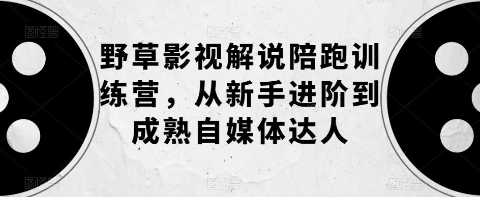 野草影视解说陪跑训练营，从新手进阶到成熟自媒体达人-文强博客