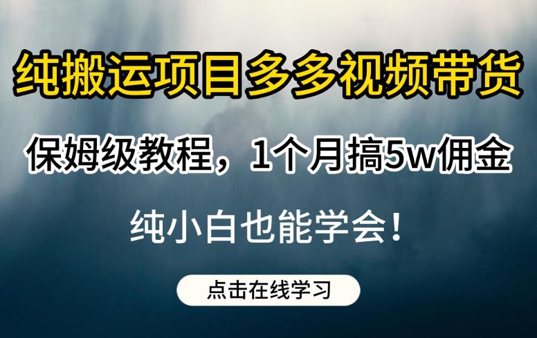 纯搬运项目多多视频带货保姆级教程，1个月搞5w佣金，纯小白也能学会【揭秘】-文强博客