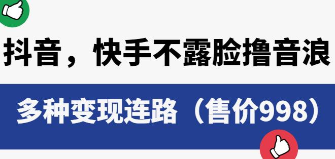 抖音快手不露脸撸音浪项目，多种变现连路（售价998）-文强博客