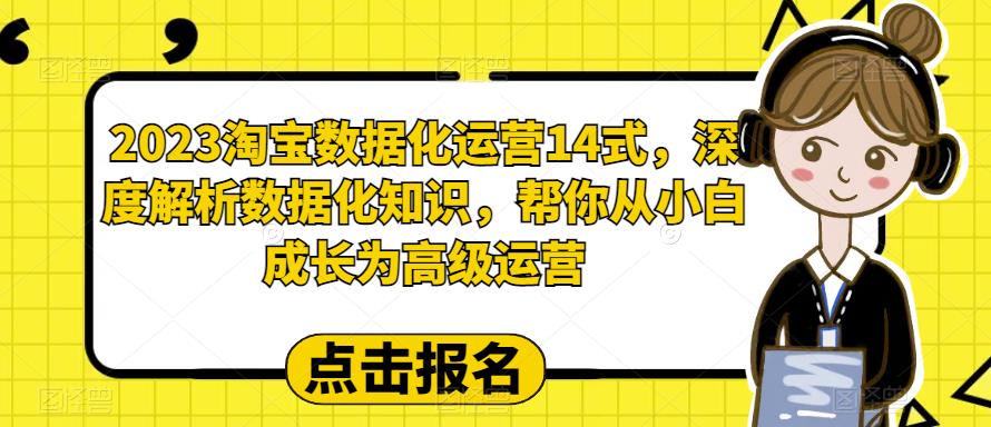 2023淘宝数据化运营14式，深度解析数据化知识，帮你从小白成长为高级运营-文强博客