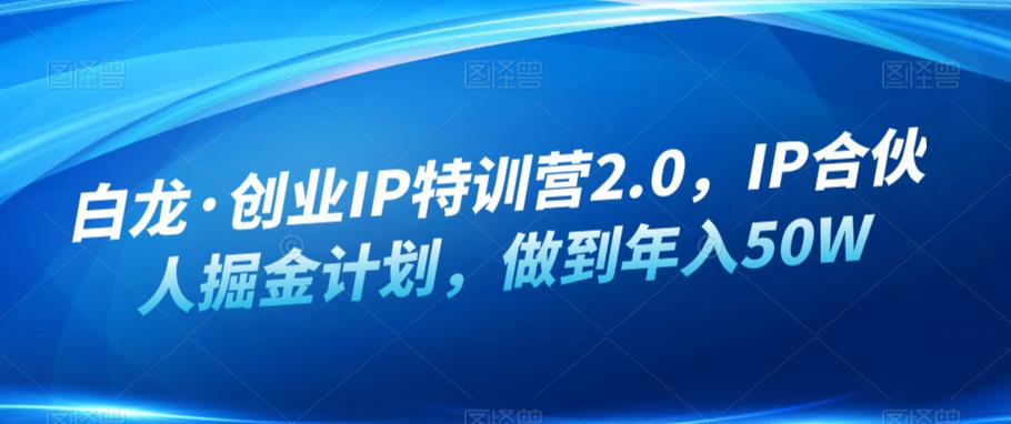 白龙·创业IP特训营2.0，IP合伙人掘金计划，做到年入50W-文强博客