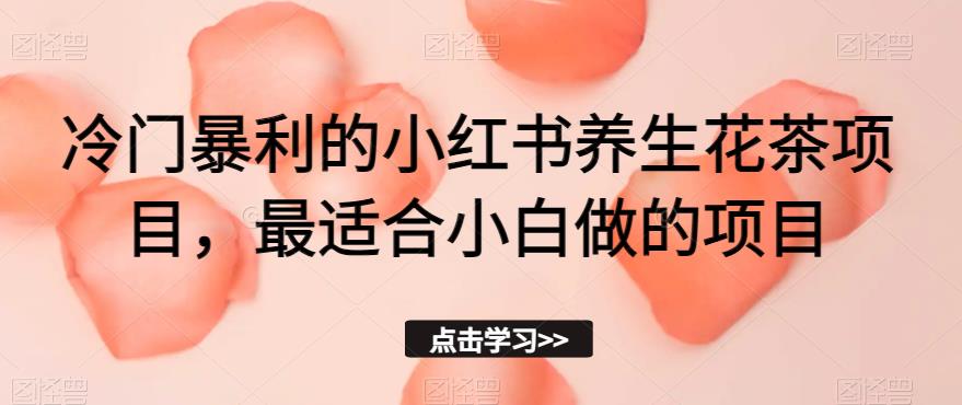 冷门暴利的小红书养生花茶项目，最适合小白做的项目【揭秘】-文强博客