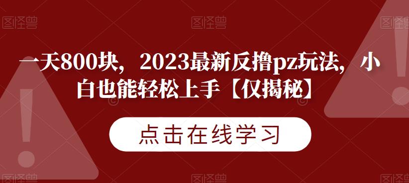 一天800块，2023最新反撸pz玩法，小白也能轻松上手【仅揭秘】-文强博客