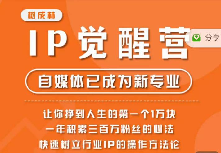 树成林·IP觉醒营，快速树立行业IP的操作方法论，让你赚到人生的第一个1万块（更新）-文强博客