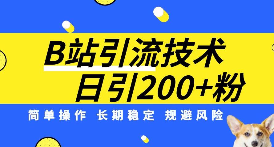 B站引流技术：每天引流200精准粉，简单操作，长期稳定，规避风险-文强博客