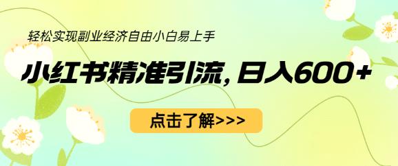 小红书精准引流，小白日入600+，轻松实现副业经济自由（教程+1153G资源）-文强博客