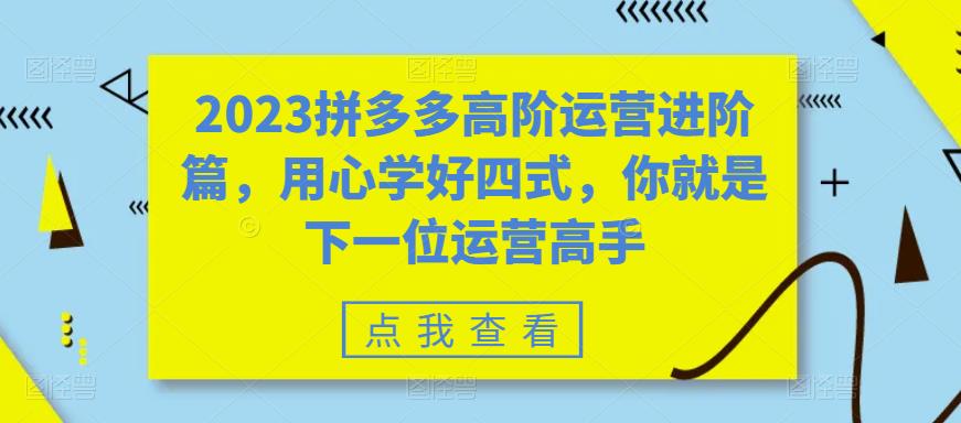 2023拼多多高阶运营进阶篇，用心学好四式，你就是下一位运营高手-文强博客