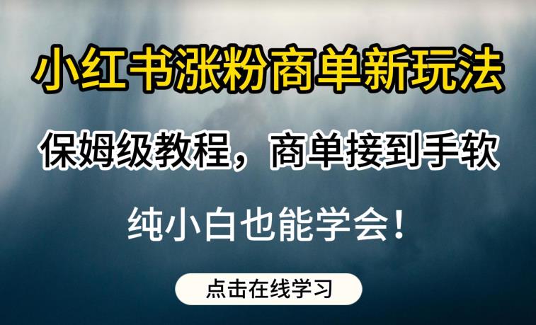 小红书涨粉商单新玩法，保姆级教程，商单接到手软，纯小白也能学会【揭秘】-文强博客