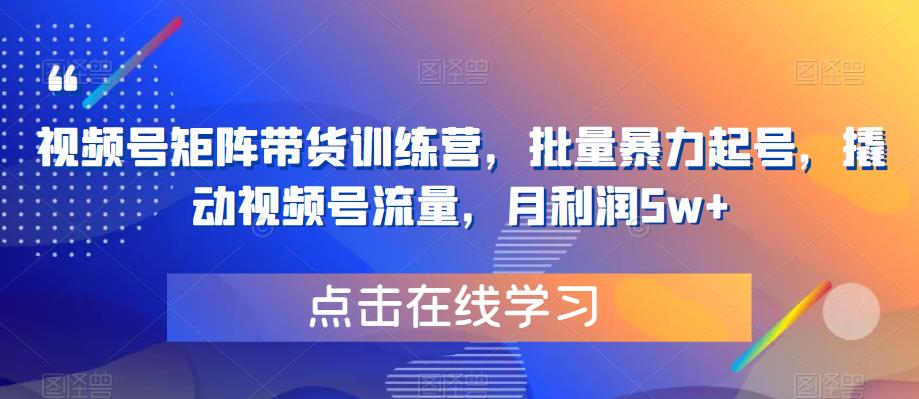 视频号矩阵带货训练营，批量暴力起号，撬动视频号流量，月利润5w+-文强博客