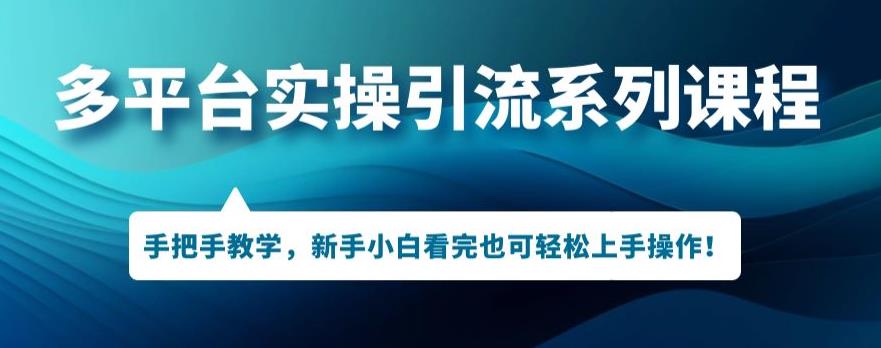 多平台引流实操系列课程，新手小白看完也可轻松上手进行引流操作-文强博客