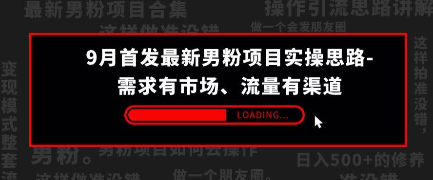 9月首发最新男粉项目实操思路-需求有市场，流量有渠道【揭秘】-文强博客