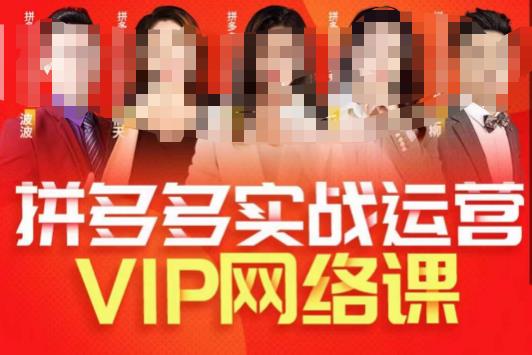 推易拼多多VIP全套直播课程，拼多多店铺实操玩法+实战玩法选款内功+直通车高阶等-文强博客