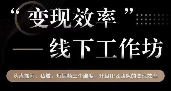 变现效率线下工作坊，从‮播直‬间、私域、‮视短‬频‮个三‬维度，升级IP和团队变现效率-文强博客