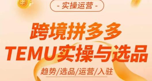 伍跃·跨境拼多多TEMU实操与选品，​趋势/选品/运营/入住（27节完整）-文强博客