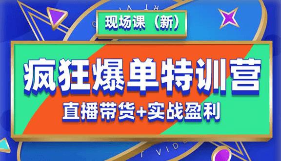 抖音短视频疯狂爆单特训营现场课（新）直播带货+实战案例-文强博客