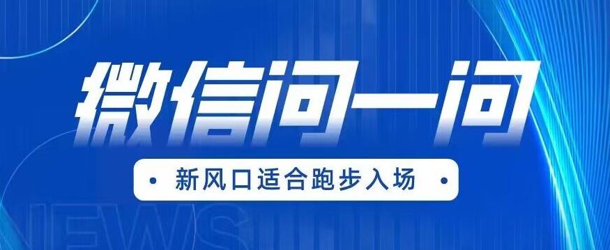 全网首发微信问一问新风口变现项目（价值1999元）【揭秘】-文强博客