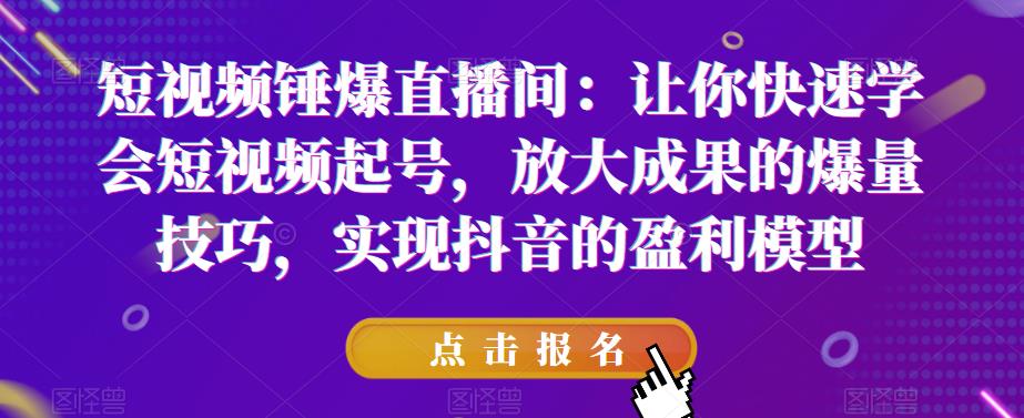 短视频锤爆直播间：让你快速学会短视频起号，放大成果的爆量技巧，实现抖音的盈利模型-文强博客