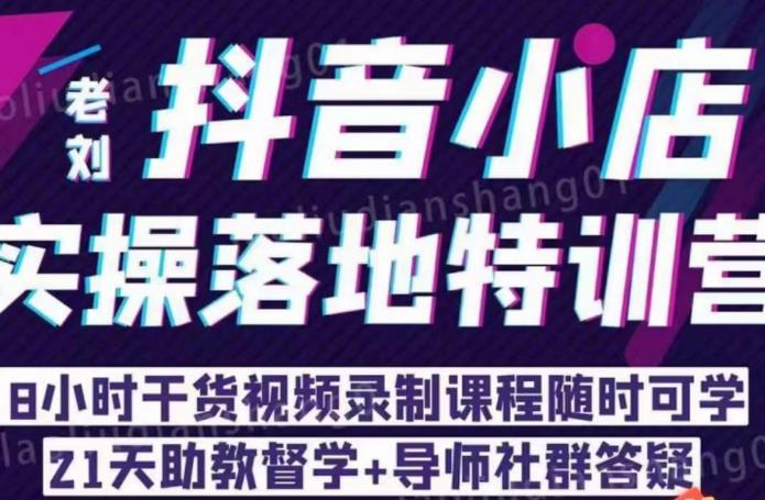 老刘·抖店商品卡流量，​抖音小店实操落地特训营，8小时干货视频录制课程随时可学-文强博客