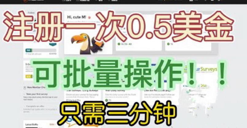 国外项目注册一次0.5美金，只需三分钟无脑操作，可批量同时放大操作，小白工作室福利【揭秘】-文强博客