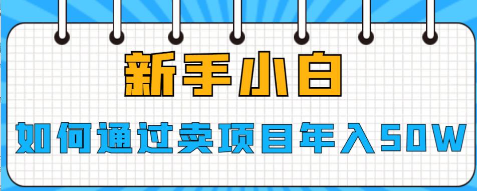 新手小白如何通过卖项目年入50W【揭秘】-文强博客