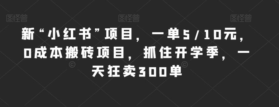 新“小红书”项目，一单5/10元，0成本搬砖项目，抓住开学季，一天狂卖300单【揭秘】-文强博客