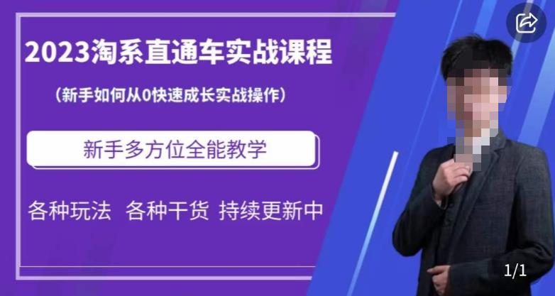 2023淘系直通车保姆式运营讲解，新手如何从0快速成长实战操作，新手多方位全能教学-文强博客