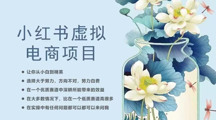 小红书虚拟电商从0到1，让你从小白到精英（20节实操课程）-文强博客