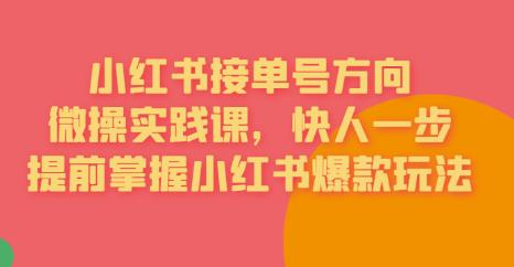 接单号方向·小红书微操实践课，快人一步，提前掌握小红书爆款玩法-文强博客