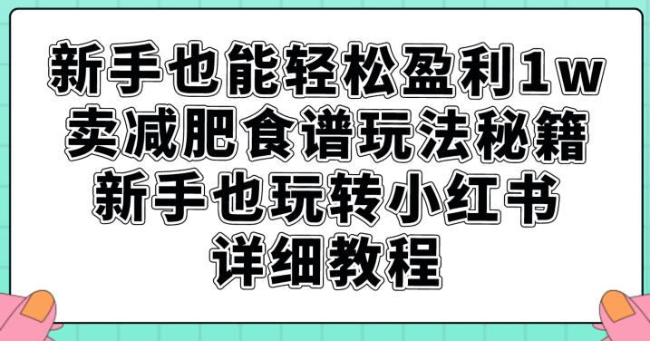 新手也能轻松盈利1w，卖减肥食谱玩法秘籍，新手也玩转小红书详细教程【揭秘】-文强博客