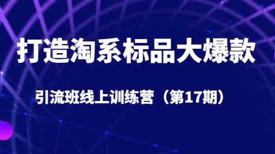 打造淘系标品大爆款引流班线上训练营（第17期）5天直播授课-文强博客