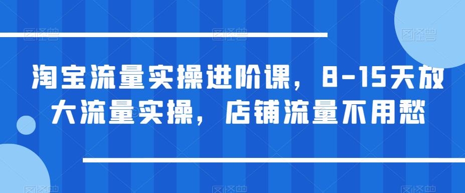 淘宝流量实操进阶课，8-15天放大流量实操，店铺流量不用愁-文强博客