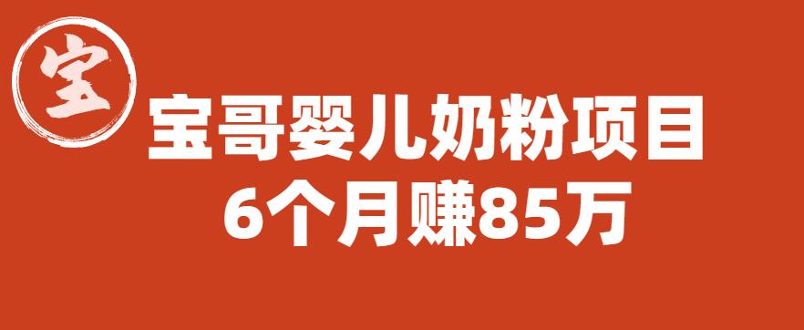 宝哥婴儿奶粉项目，6个月赚85w【图文非视频】【揭秘】-文强博客