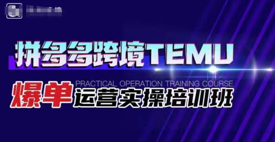 拼多多跨境TEMU爆单运营实操培训班，海外拼多多的选品、运营、爆单-文强博客