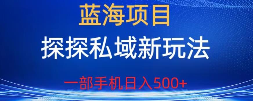 蓝海项目，探探私域新玩法，一部手机日入500+很轻松【揭秘】-文强博客