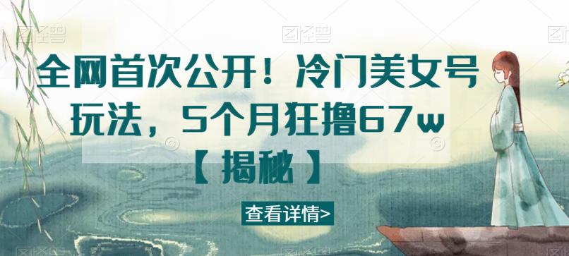 全网首次公开！冷门美女号玩法，5个月狂撸67w【揭秘】-文强博客