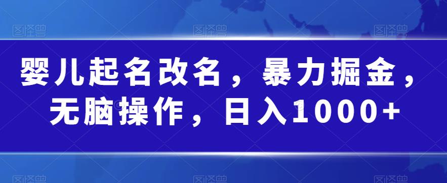 婴儿起名改名，暴力掘金，无脑操作，日入1000+【揭秘】-文强博客